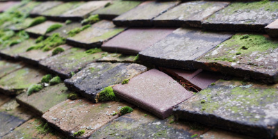 Berkshire roof repair costs